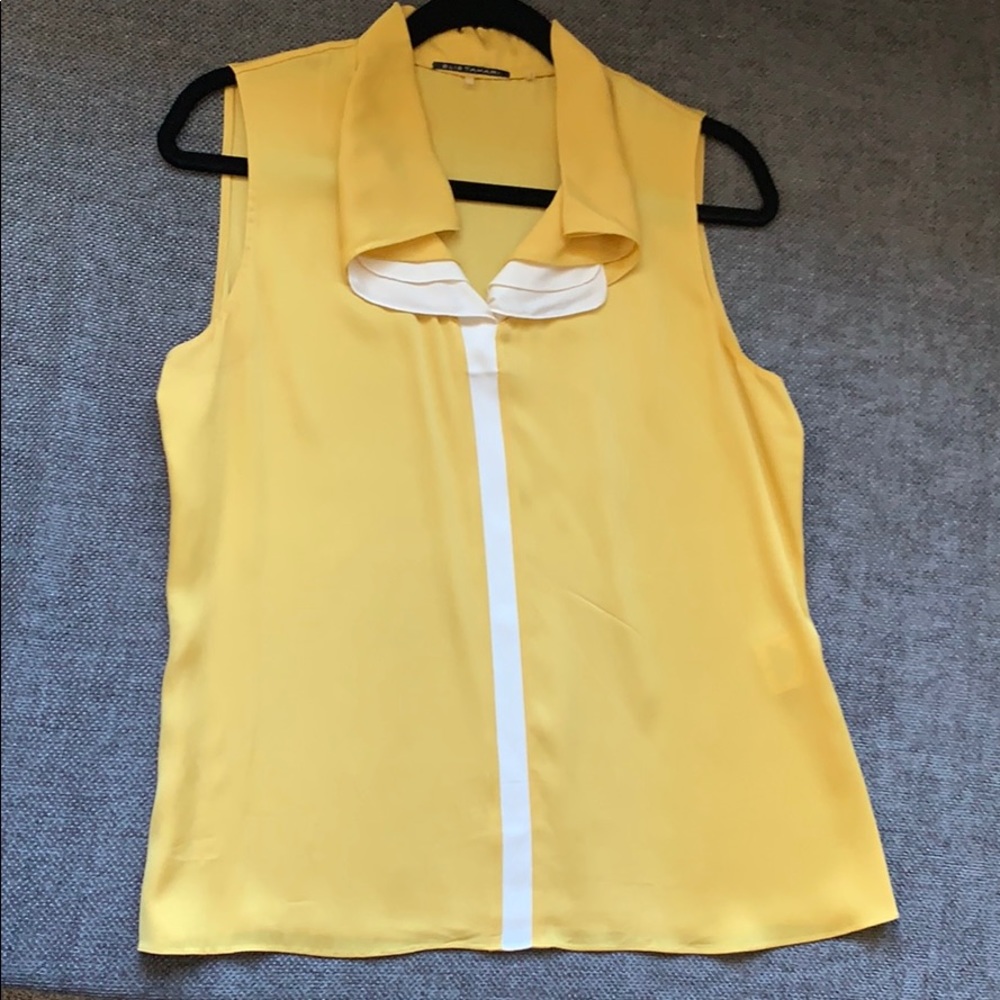 Silk Ellie Tahari blouse
